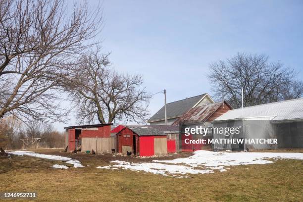 General view shows the small egg farm belonging to Casim Abbas, a mathematics professor at Michigan State University, at his home in Williamston,...