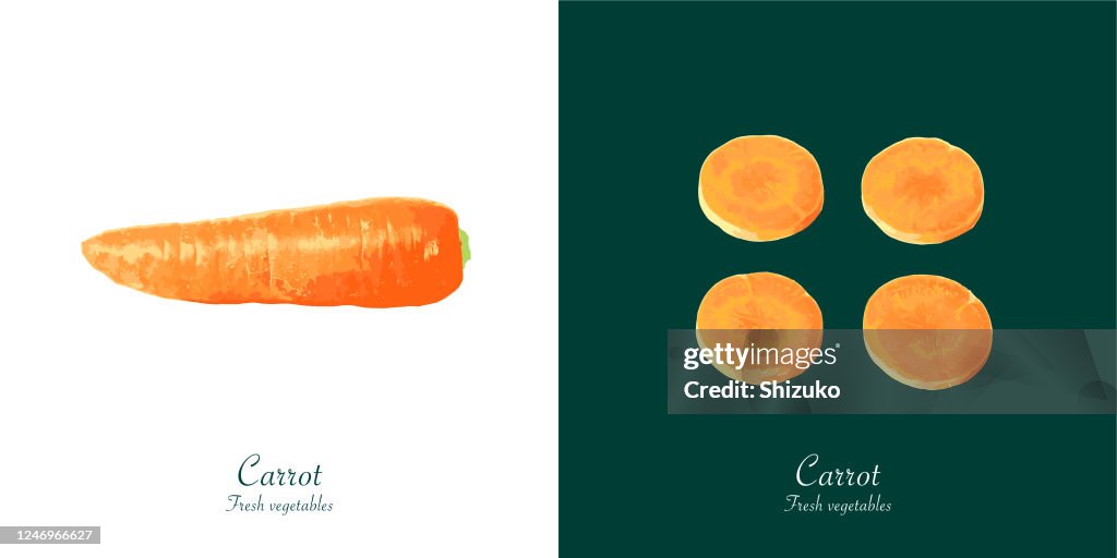 Carrot from background of white and dark green