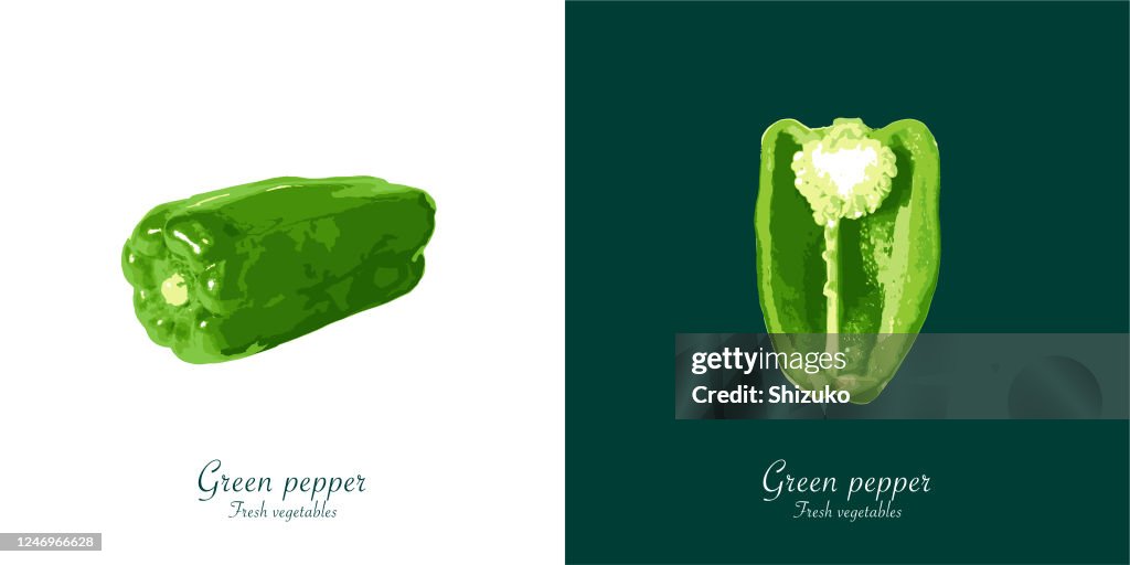 Green pepper from background of white and dark green