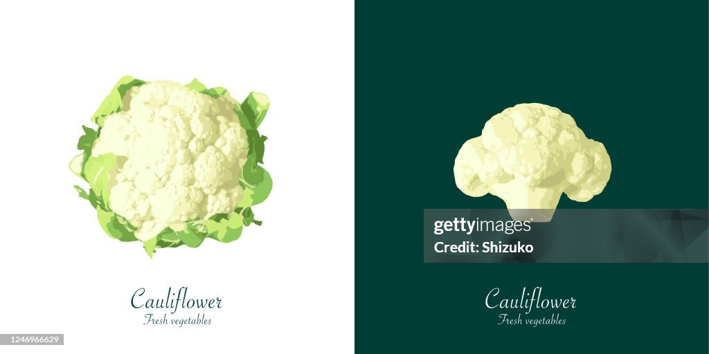 Blumenkohl aus dem Hintergrund von weiß und dunkelgrün