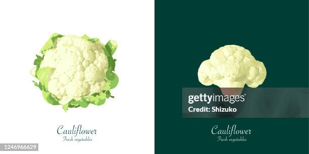 cauliflower from background of white and dark green - cauliflower stock illustrations