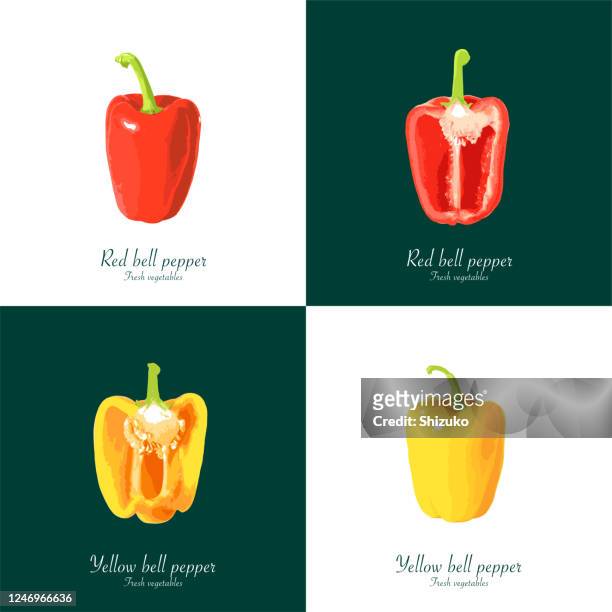 paprika aus dem hintergrund von weiß und dunkelgrün - bell pepper stock-grafiken, -clipart, -cartoons und -symbole
