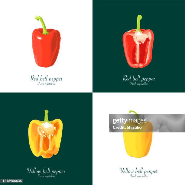 bell pepper from background of white and dark green - red bell pepper white background stock illustrations