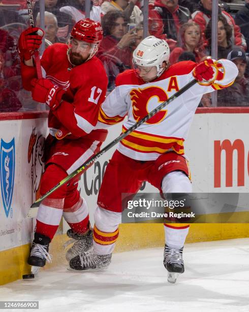 Filip Hronek of the Detroit Red Wings battles along the boards for the puck with Elias Lindholm of the Calgary Flames during the second period of an...