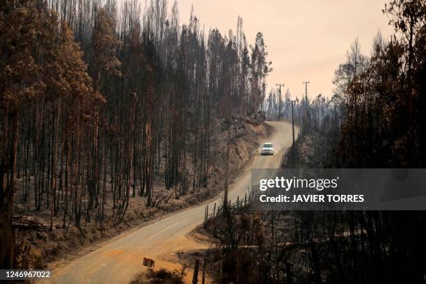 Car drives in a road amid burned forests, in Santa Juana, Concepcion province, Chile, on February 9, 2023. - Chile announced a nighttime curfew in...