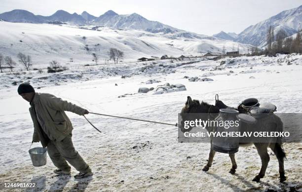 Kyrgyz's man pulls a donkey carrying churns with water at the Ala-Archa river near the village of Kashka-Suu, some 30 km outside Bishkek, on February...