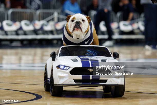 Butler Bulldogs mascot rides in the back of a remote control car during a timeout against the Xavier Muskateers on February 10 at Hinkle Fieldhouse...