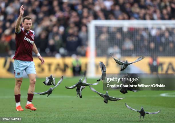 Vladimir Coufal of West Ham shoos pigeons off the pitch during the Premier League match between West Ham United and Chelsea FC at London Stadium on...