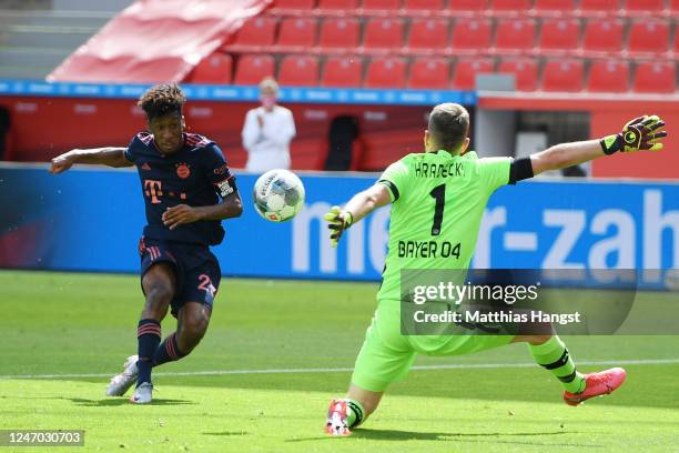 Kingsley Coman of Muenchen scores his team's first goal past goalkeeper Lukas Hradecky of Leverkusen during the Bundesliga match between Bayer 04...