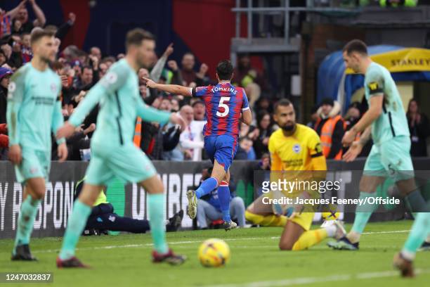 James Tomkins of Crystal Palace celebrates their first goal during the Premier League match between Crystal Palace and Brighton & Hove Albion at...