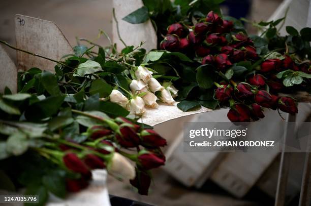 View of roses being prepared for export at the Rosas Maya Kotzij Cooperative in Loma Alta village, San Juan Sacatepequez, Guatemala, on February 11,...