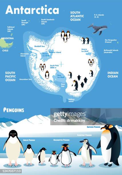 antarctica - water penguin stock illustrations