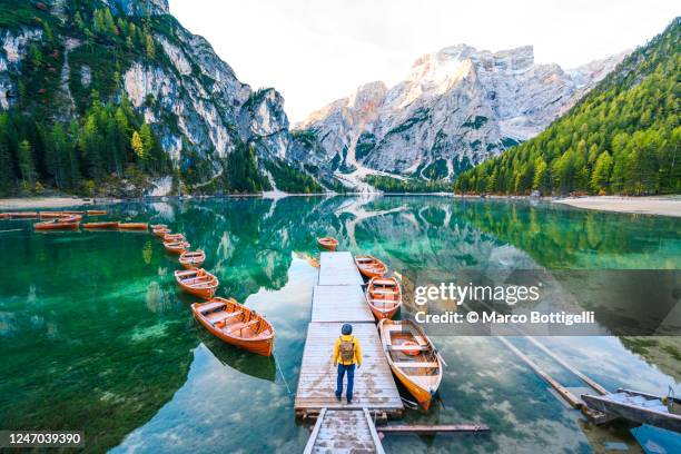 man admiring the dolomites from a pier, italy - lago di braies foto e immagini stock