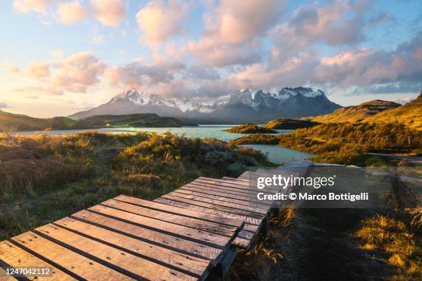 torres del paine national park, patagonia, chile - patagonia fotografías e imágenes de stock