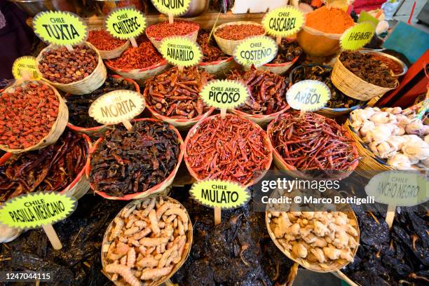 different kind of chili, mexico - mexican food stock-fotos und bilder