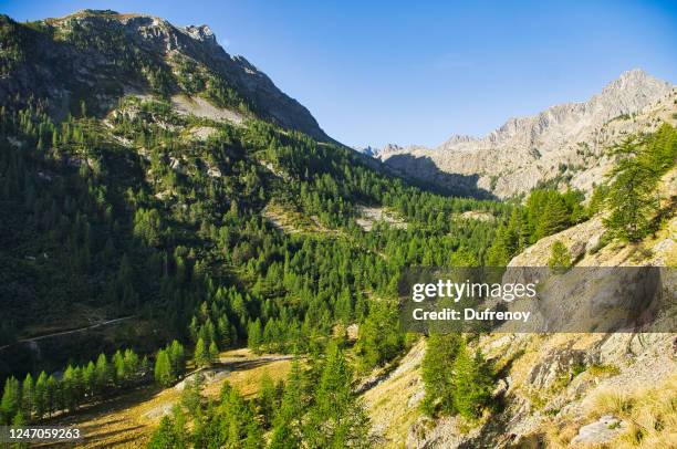 mercantour national park, france - mercantour stockfoto's en -beelden