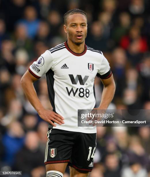 Fulhams Bobby Reid during the Premier League match between Fulham FC and Nottingham Forest at Craven Cottage on February 11, 2023 in London, United...