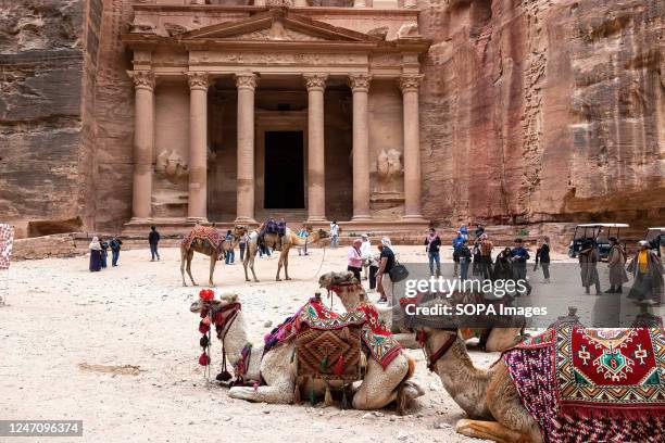 Camels seen in front of The Treasury in Petra, a famous archaeological site. Petra is a UNESCO World Heritage site and one of the seven wonders of...