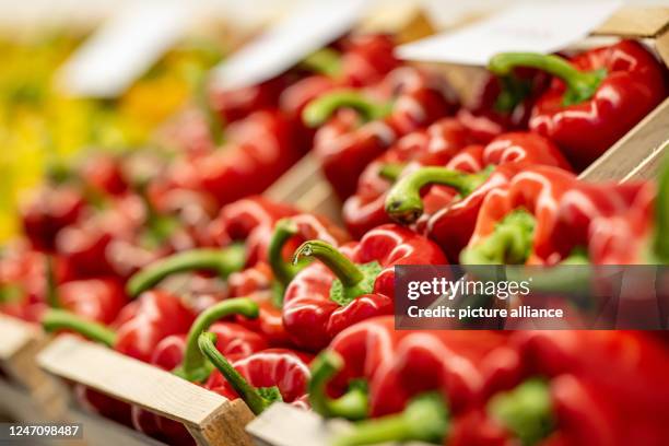 February 2023, Berlin: Red bell pepper is exhibited at Fruit Logistica. Fruit Logistica is an International Trade Fair for Fruit and Vegetable...