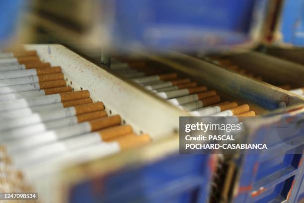 This photograph taken on February 8 shows cigarettes packed in boxes at MACOTAB , the last French cigarette manufacture, in Furiani, on the French...