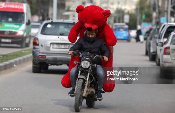 Palestinian man holds a giant teddy bear as he rides a motorcycle on Valentine's day in Gaza city, on February 14, 2023. Valentine's Day is...