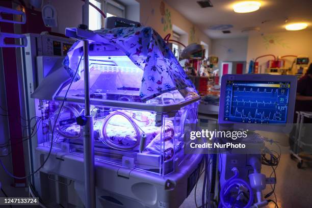 Incubators with the quintuplets, which were born in the University Hospital in Krakow, Poland on February 14, 2023. Three girls and two boys were...