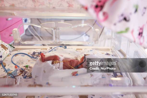 One of the quintuplets, which were born in the University Hospital, is seen in an incubator. Krakow, Poland on February 14, 2023. Three girls and two...