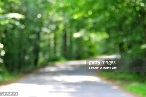 licht und schatten - public park trees stock pictures, royalty-free photos & images