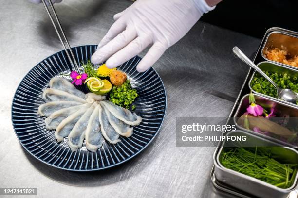 This photo taken on January 19, 2023 shows Yoshimasa Kanno, operator of the Minatoya hotel, handling slices of tiger puffer fish sashimi at his hotel...