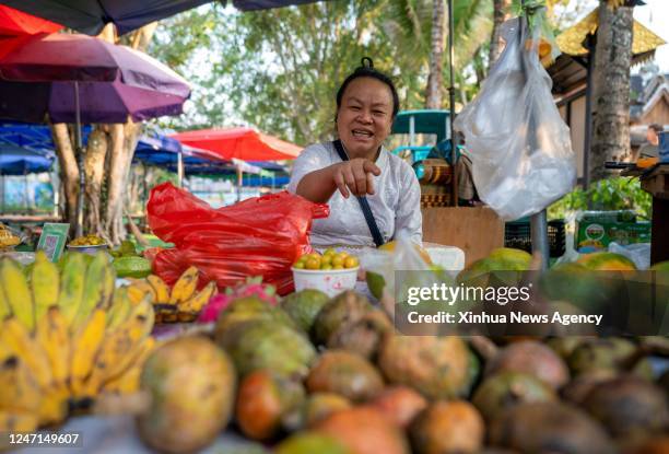 Menghai 27 Menghai County Stock Photos, High-Res Pictures, and Images - Getty ...