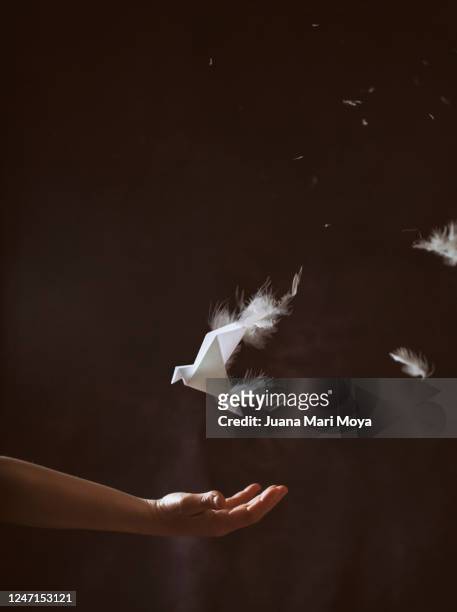 hand appears to be turning a paper bow tie into a dove of peace.  concept of peace in the world - feather floating stock pictures, royalty-free photos & images