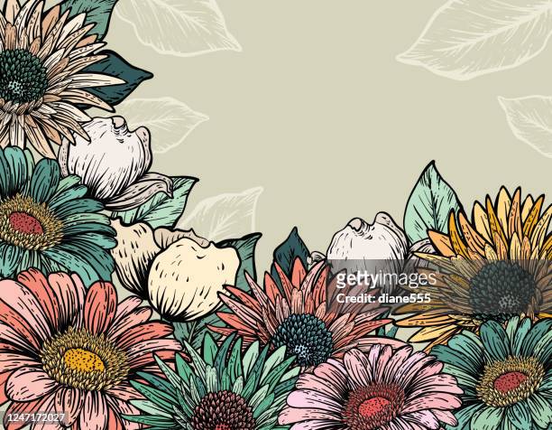 60 Gerbera Daisy Bouquet High Res Illustrations - Getty Images