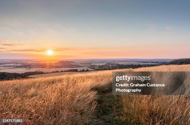dunstable downs - bedfordshire stock pictures, royalty-free photos & images