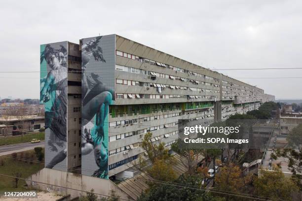 Metre-long mural created by the Dutch street artist JDL on a wall of the Corviale, a 958-metre-long public housing building in Rome. The subject...