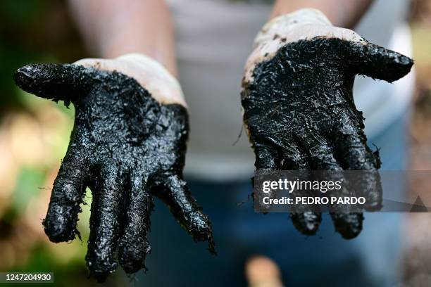 Ecuadorian activist Donald Moncayo Jimenez chief coordinator of the Union of People Affected by Texaco shows his hands with hydrocarbon waste over an...