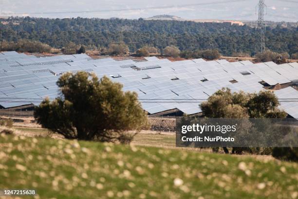 Photovoltaic power plant in Teruel, Aragon, one of the five regions in Spain that produce more energy through renewable sources than they consume....