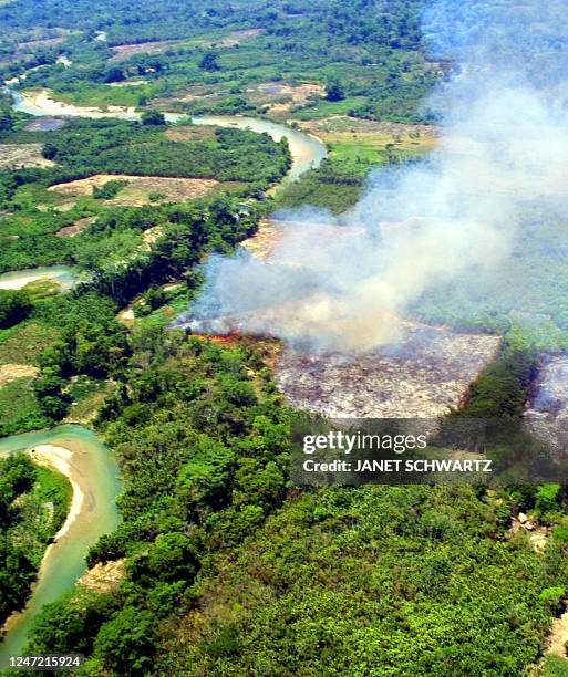 This aerial view shows the Jatate River 27 April 2001 and what is left of the Lacandona jungle, near San Quintin, Chiapas, where Indigenous people...