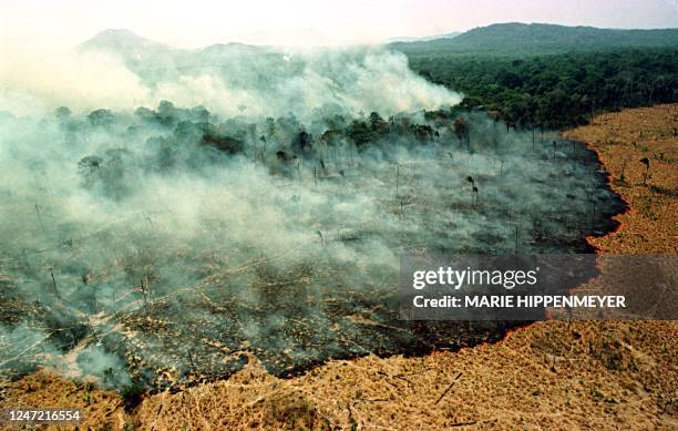 Fire destroys a forest 22 March in Apiau, 120kms from Boa Vista, capital of the state of Roraima. - Reinaldo Barbosa of the Amazonia Research...