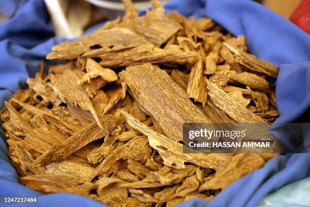 Chunks of Oud or Agarwood lie in a sack at a shop in Riyadh, 10 October 2007. Oud, also known by the names Agrawood and Aloeswood, is the resinous...