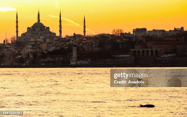 View of the sunset over Sultanahmet Mosque with a dolphin in Istanbul, Turkiye on February 17, 2023.