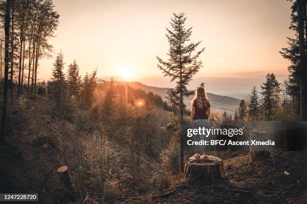 young woman takes a break in the forest at dawn - schwarzwald foto e immagini stock