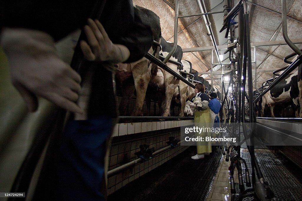 Fonterra To Build Third Chinese Dairy Farm As Demand Surges