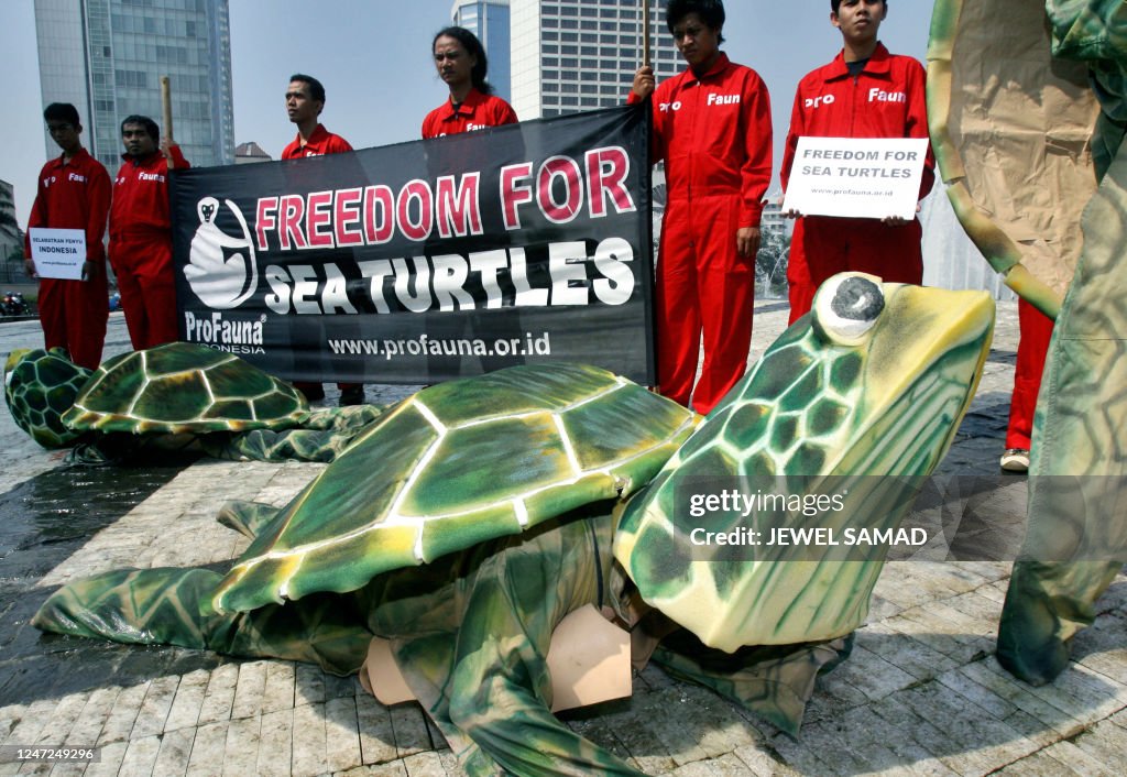 Protesting Turtles Activists of Profauna Indonesia, an environmental group, dressed as a ...