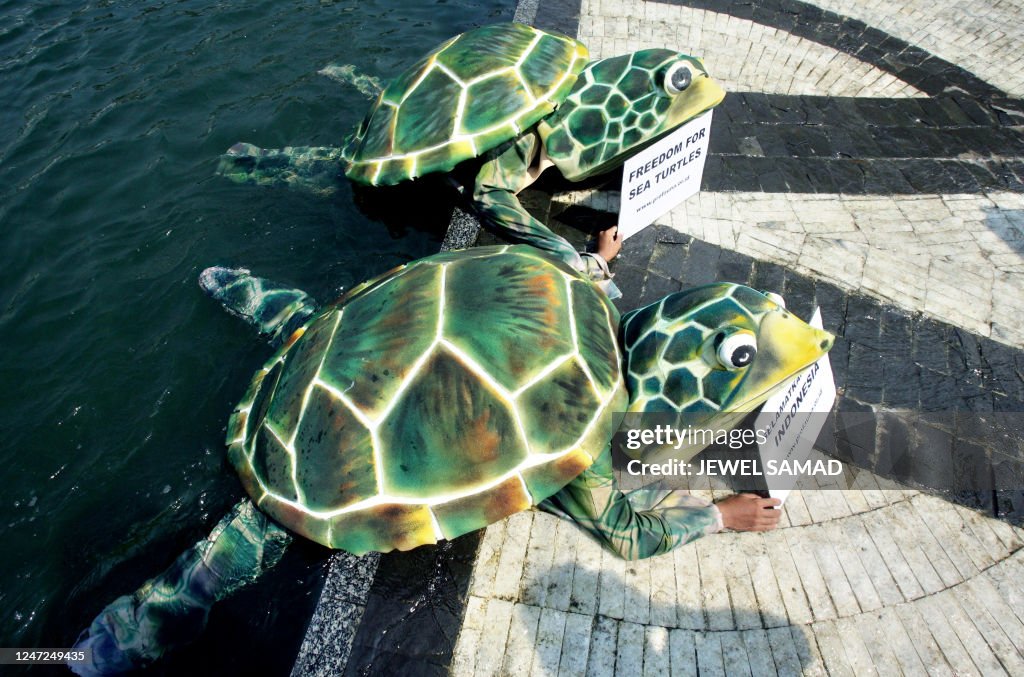 Protesting Turtles Two activists of Profauna Indonesia, an environmental group, dressed ...