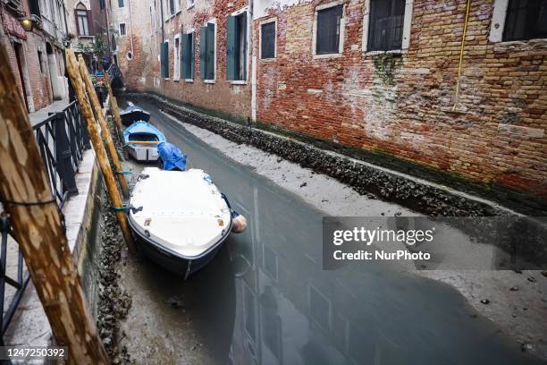 General view of a dry canal for low tide on February 16, 2023 in Venice, Italy