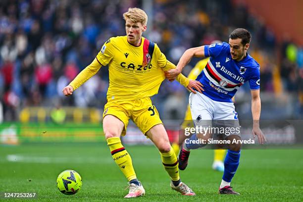 Jerdy Schouten of Bologna and Harry Winks of Sampdoria vie for the ball during the Serie A match between UC Sampdoria and Bologna FC at Stadio Luigi...