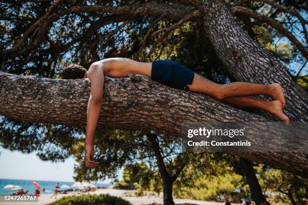 calm young man lying on tree branch - bare feet male tree stock pictures, royalty-free photos & images