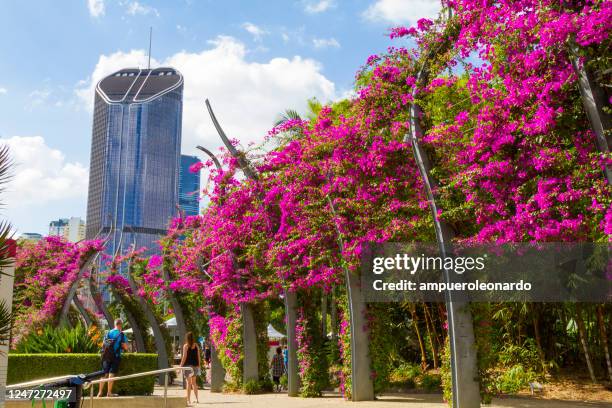 brisbane skyline panorama, queensland, australia - southbank brisbane stock pictures, royalty-free photos & images