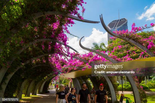 brisbane skyline panorama, queensland, australia - southbank imagens e fotografias de stock