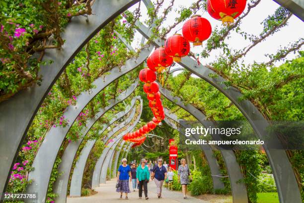 brisbane skyline panorama, queensland, australia - southbank imagens e fotografias de stock